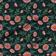Oxeye Daisy-Lincoln