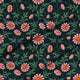 Oxeye Daisy-Lincoln
