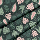 Große Monstera Panama