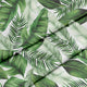 Big Leaves