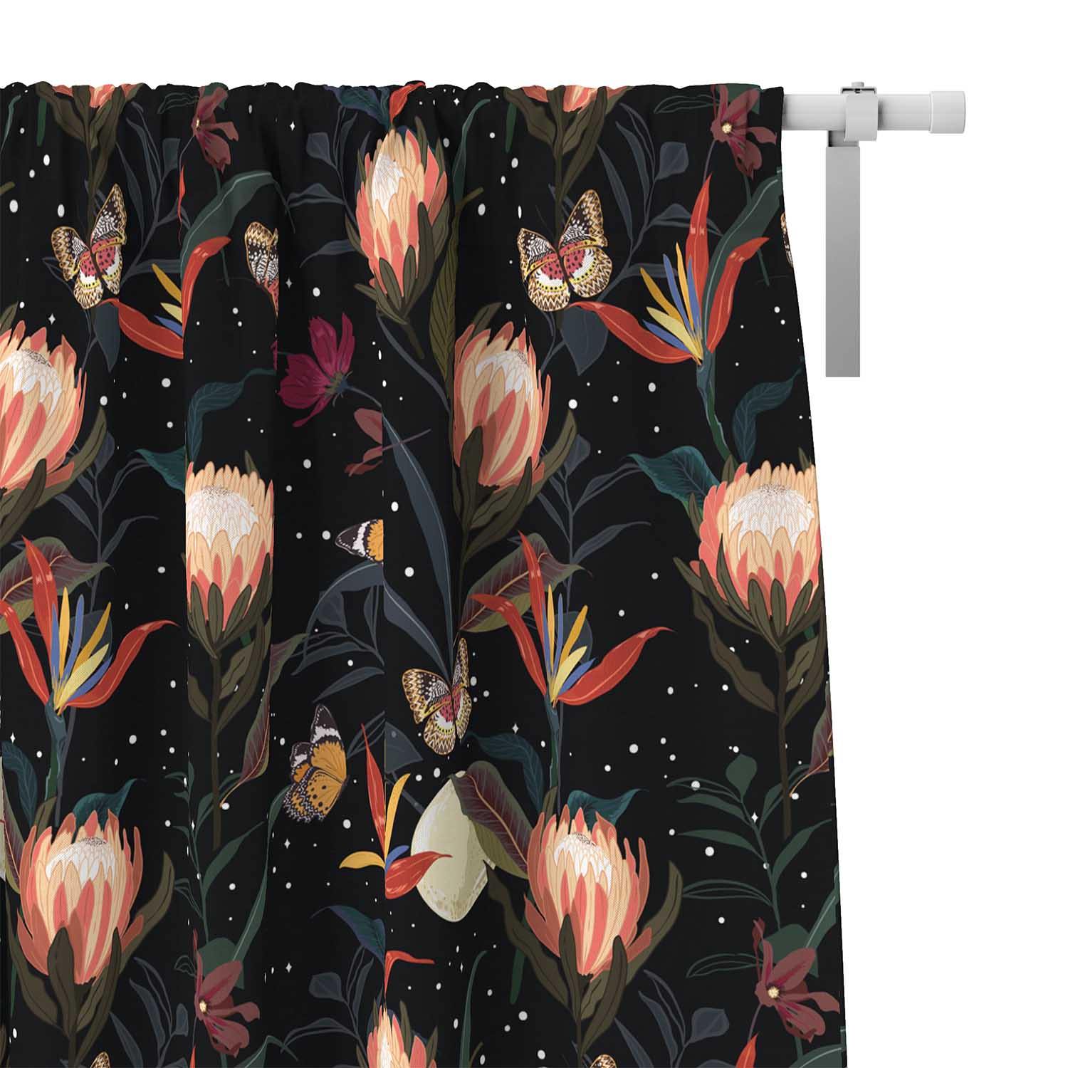 Protea Blumen