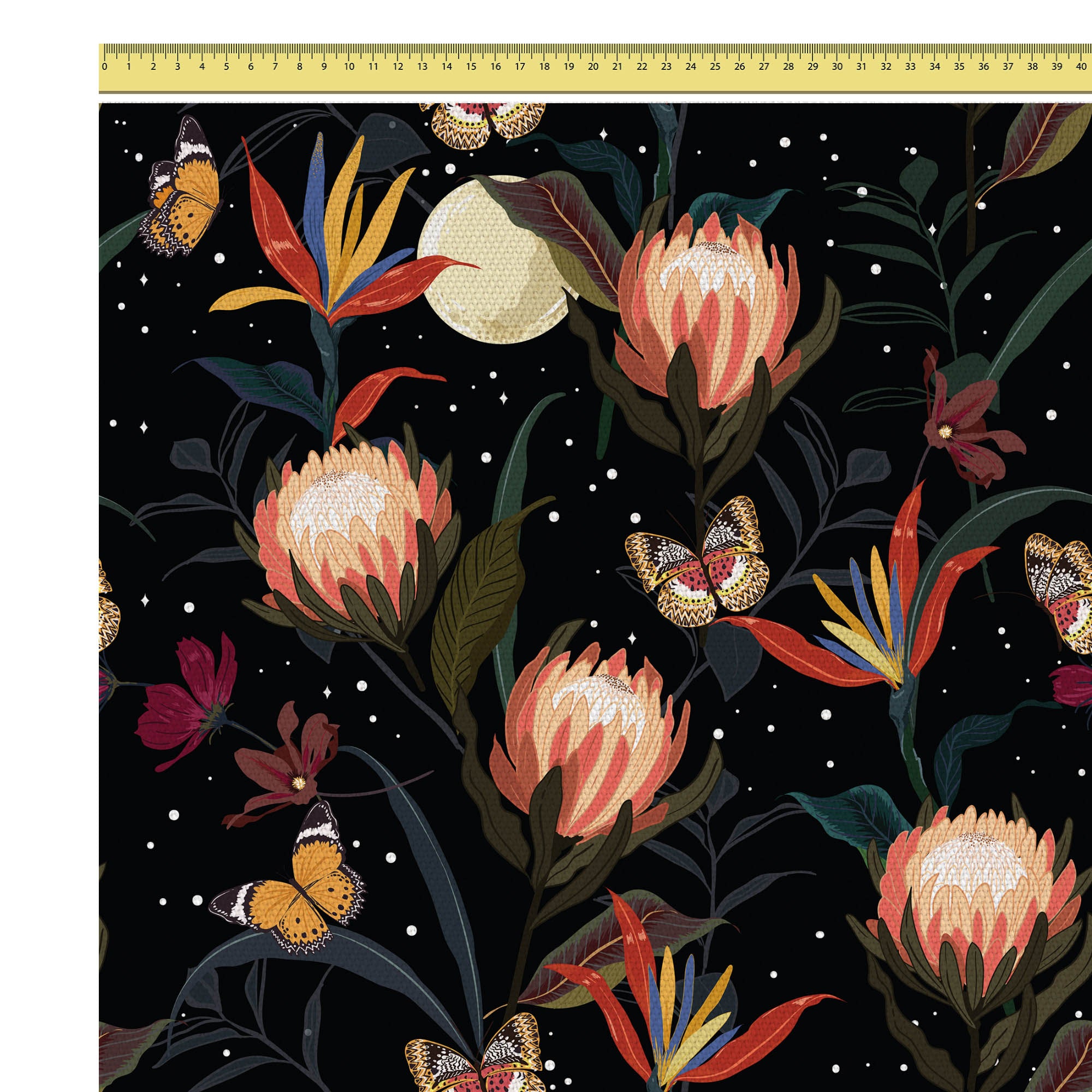 Protea Blumen