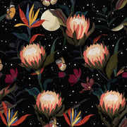Protea Blumen