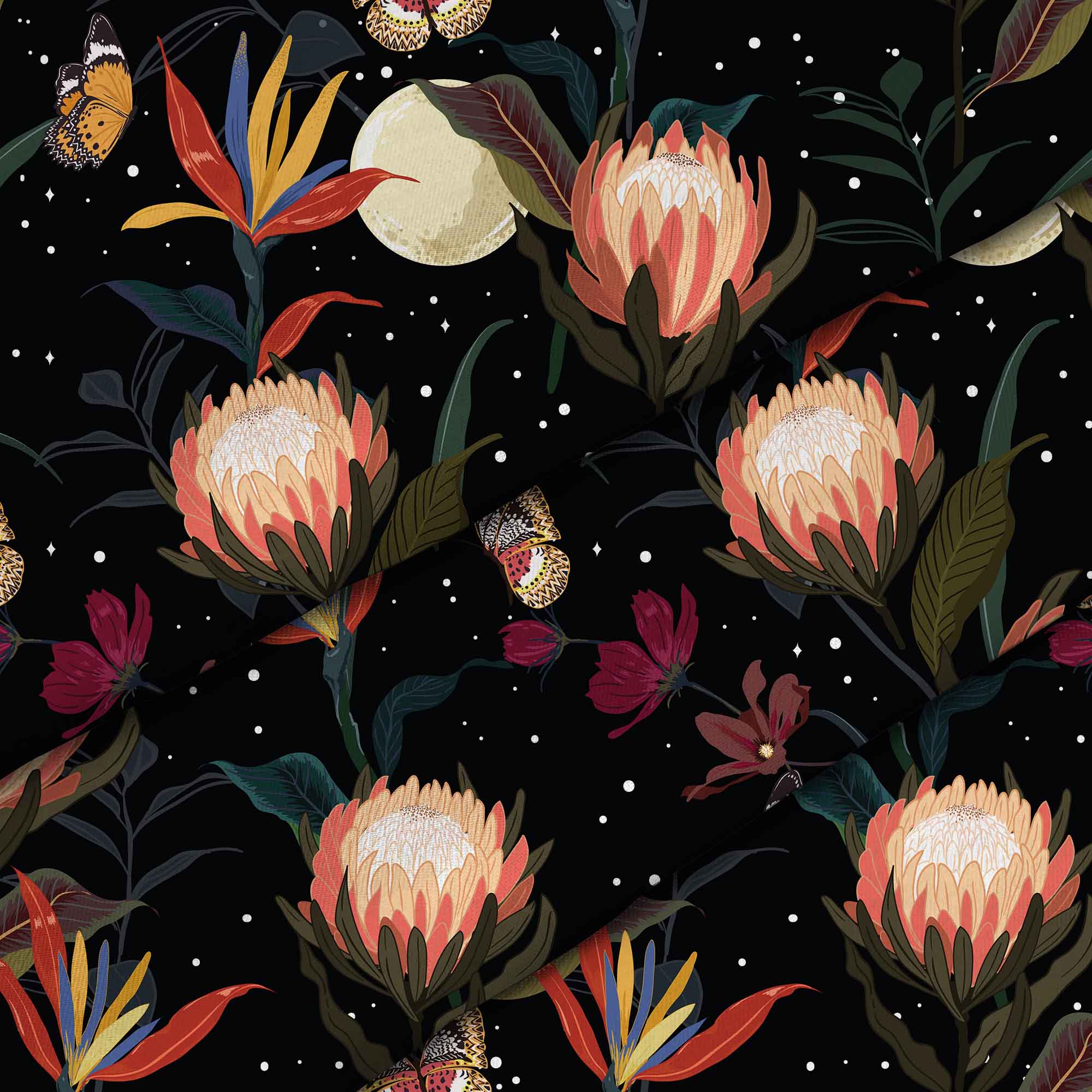 Protea Blumen