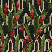 Protea Tropische Rote Blumen