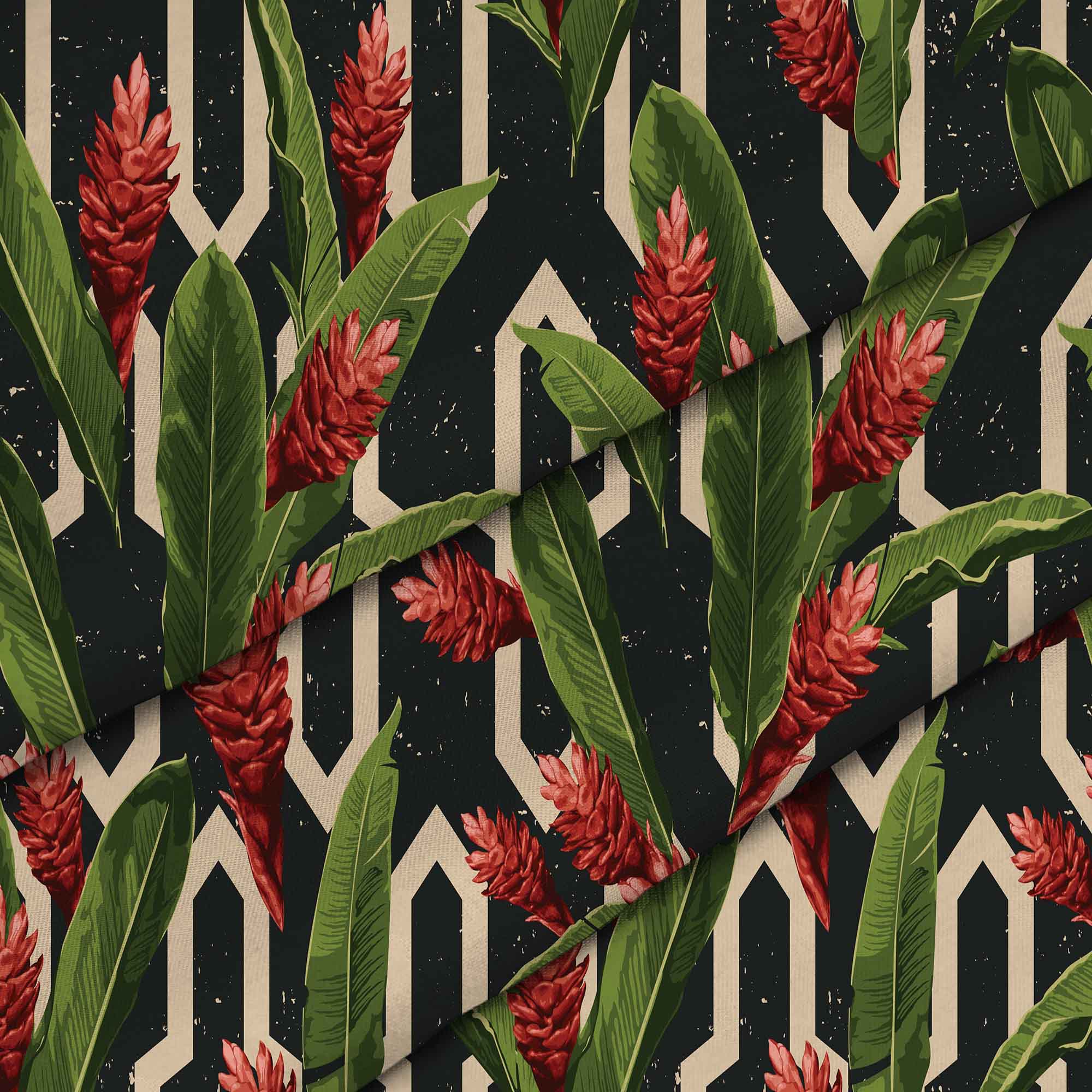 Protea Tropische Rote Blumen