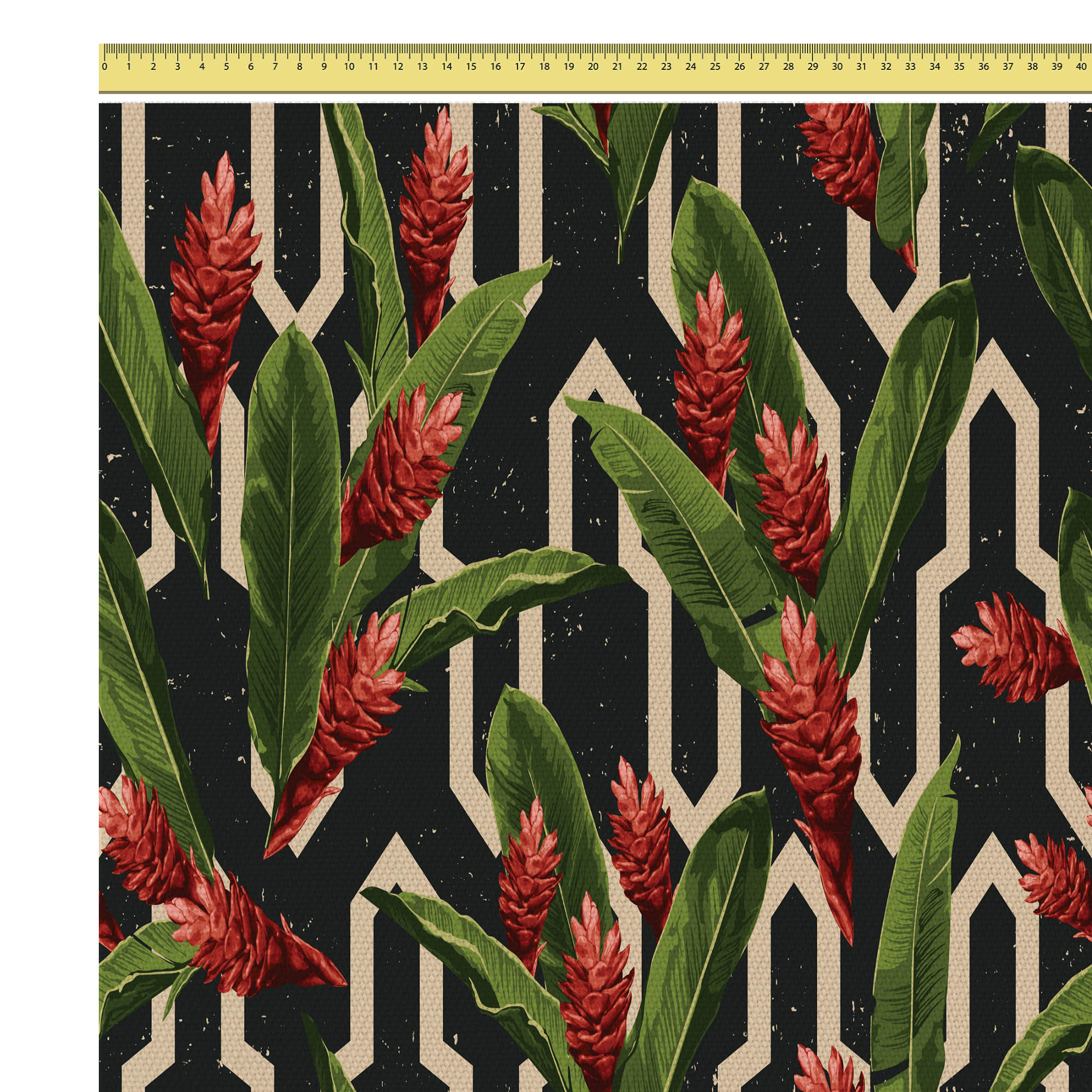Protea Tropische Rote Blumen