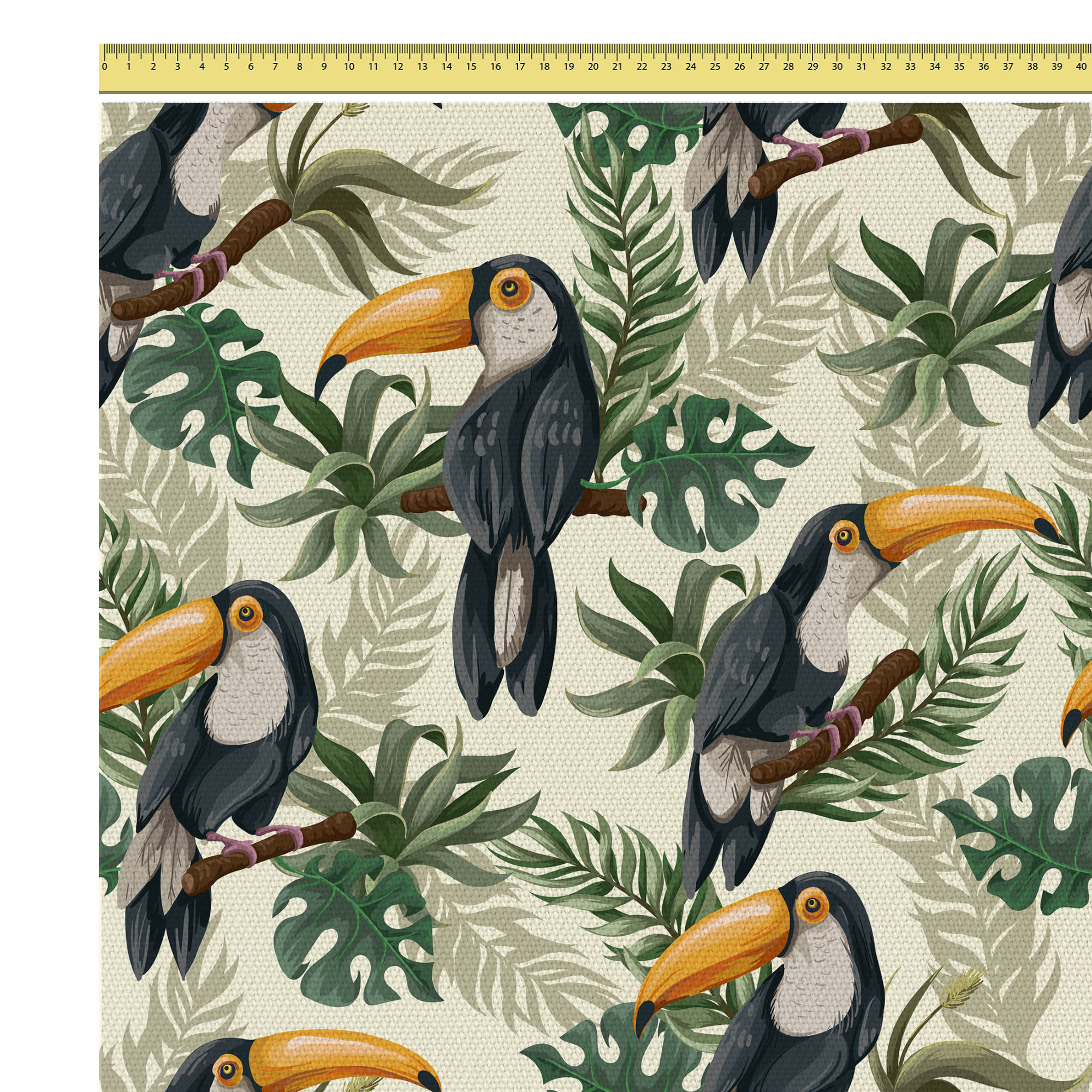 Toucans in Jungle-Panama