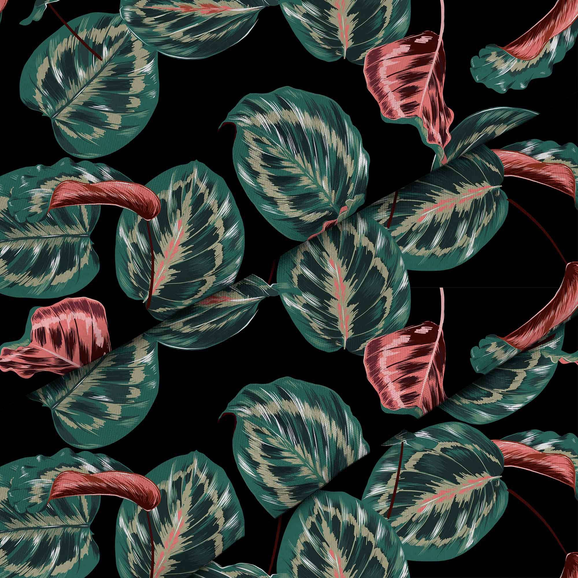 Červená tropická Maranta-Panama