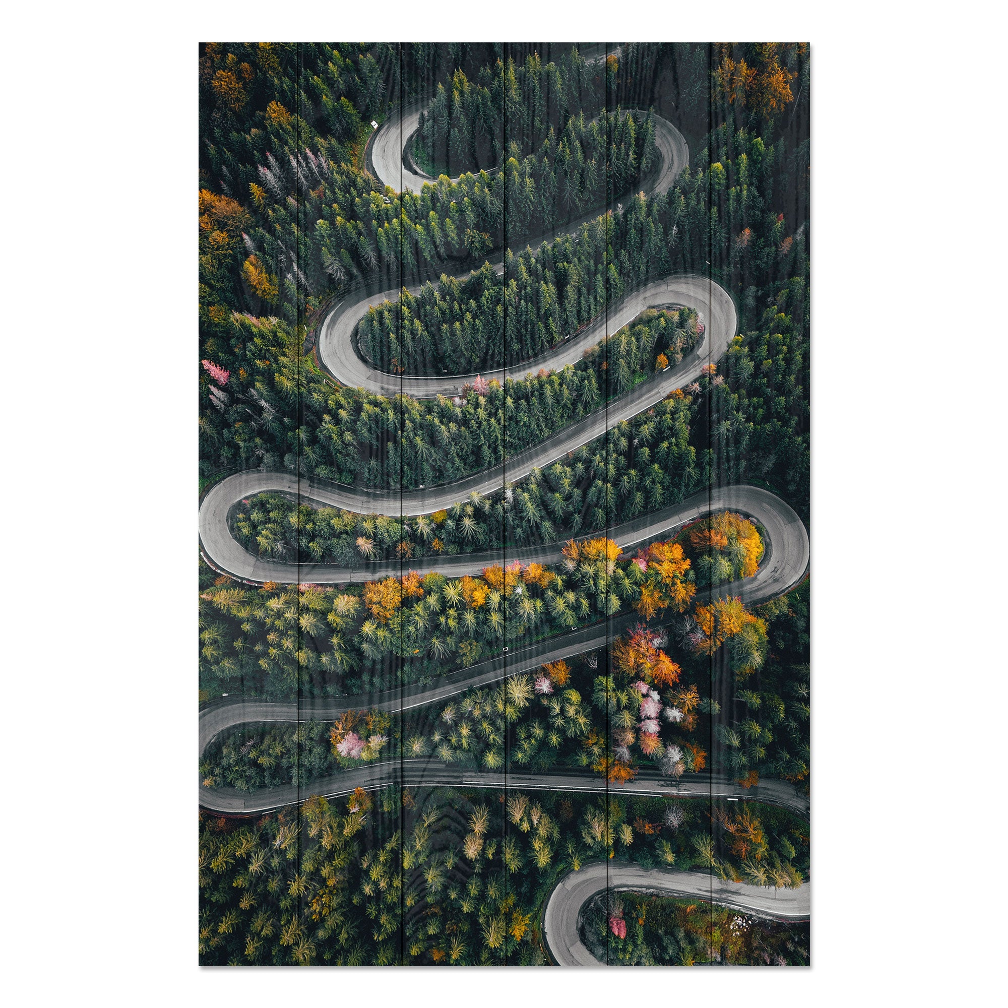 Bild Holz Gewundene Straße durch den Wald-30x40 cm