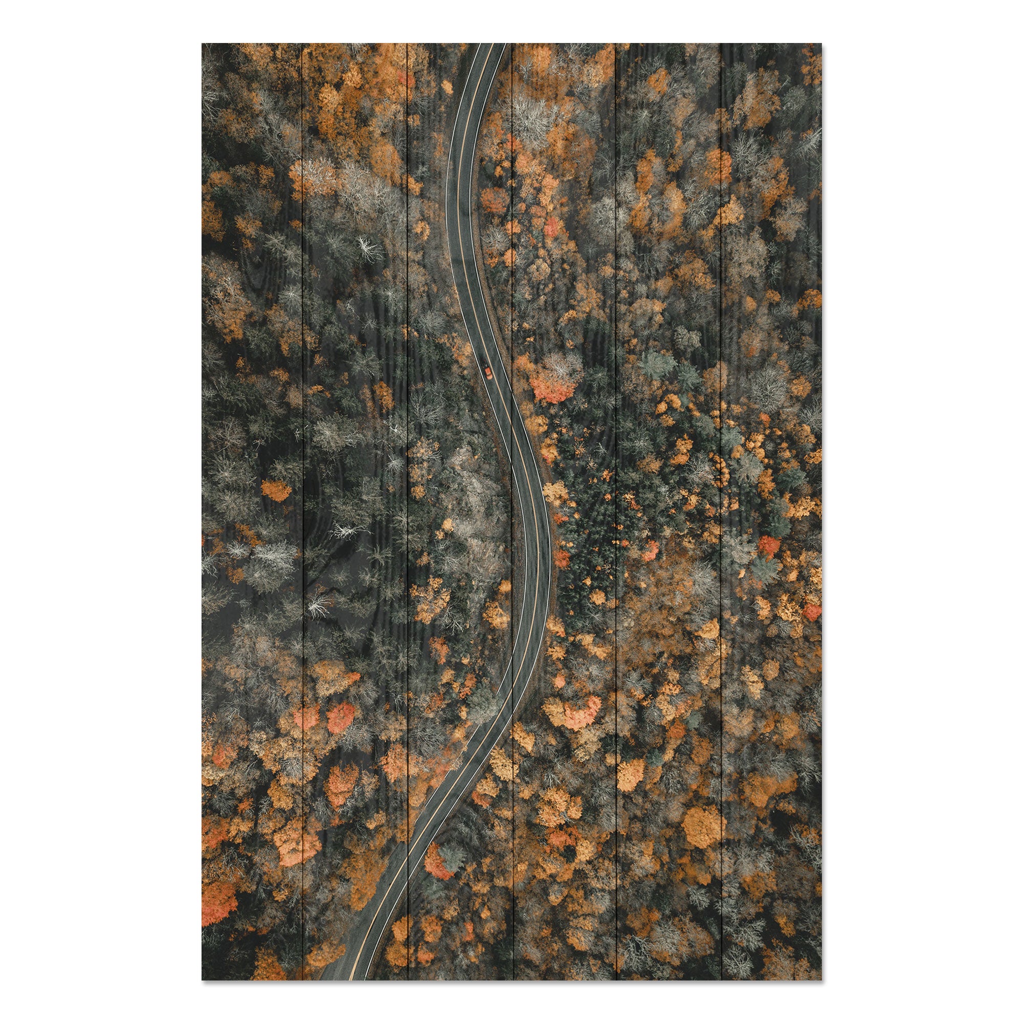 Obraz Wood Klikatá cesta-30x40 cm