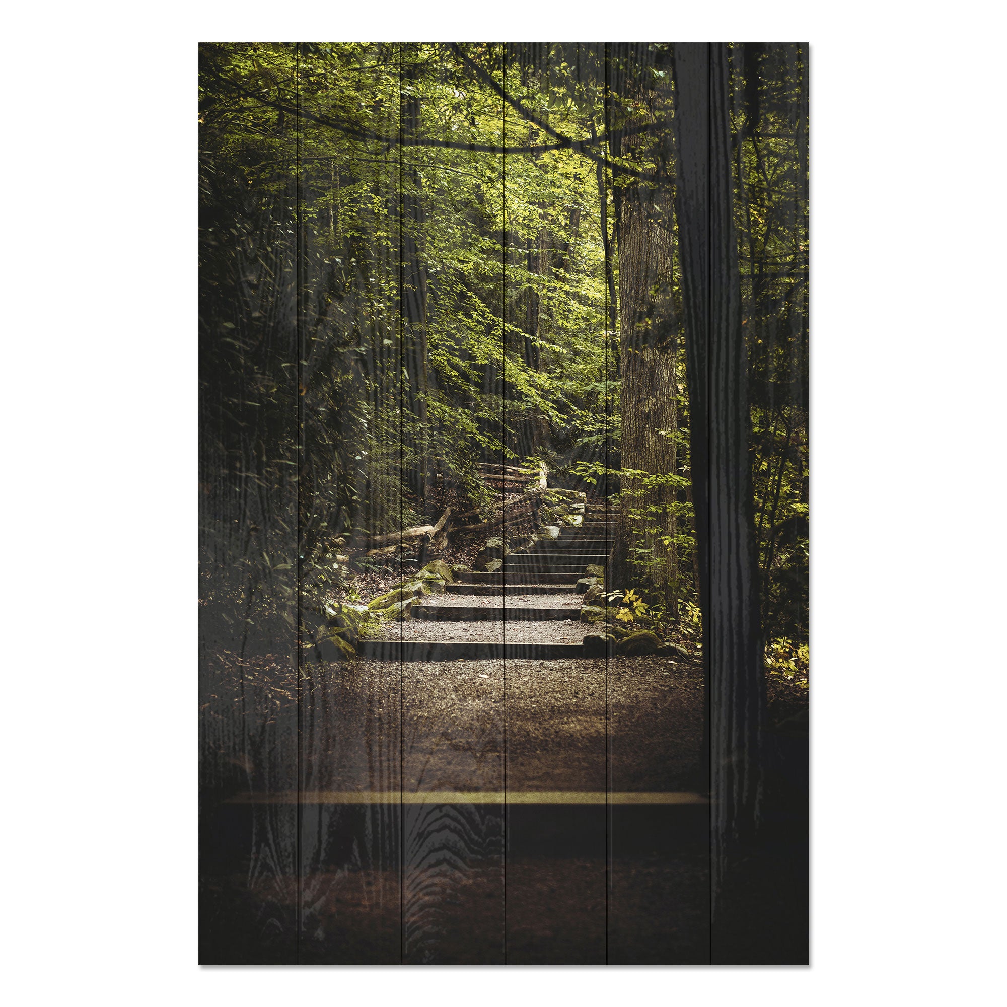 Bild Holz Treppen im Wald-40x60 cm