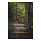 Bild Holz Treppen im Wald