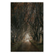 Obraz Wood Road among the Trees-30x30 cm