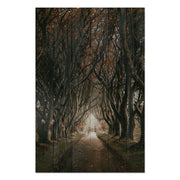 Obraz Wood Cesta mezi stromy-30x40 cm