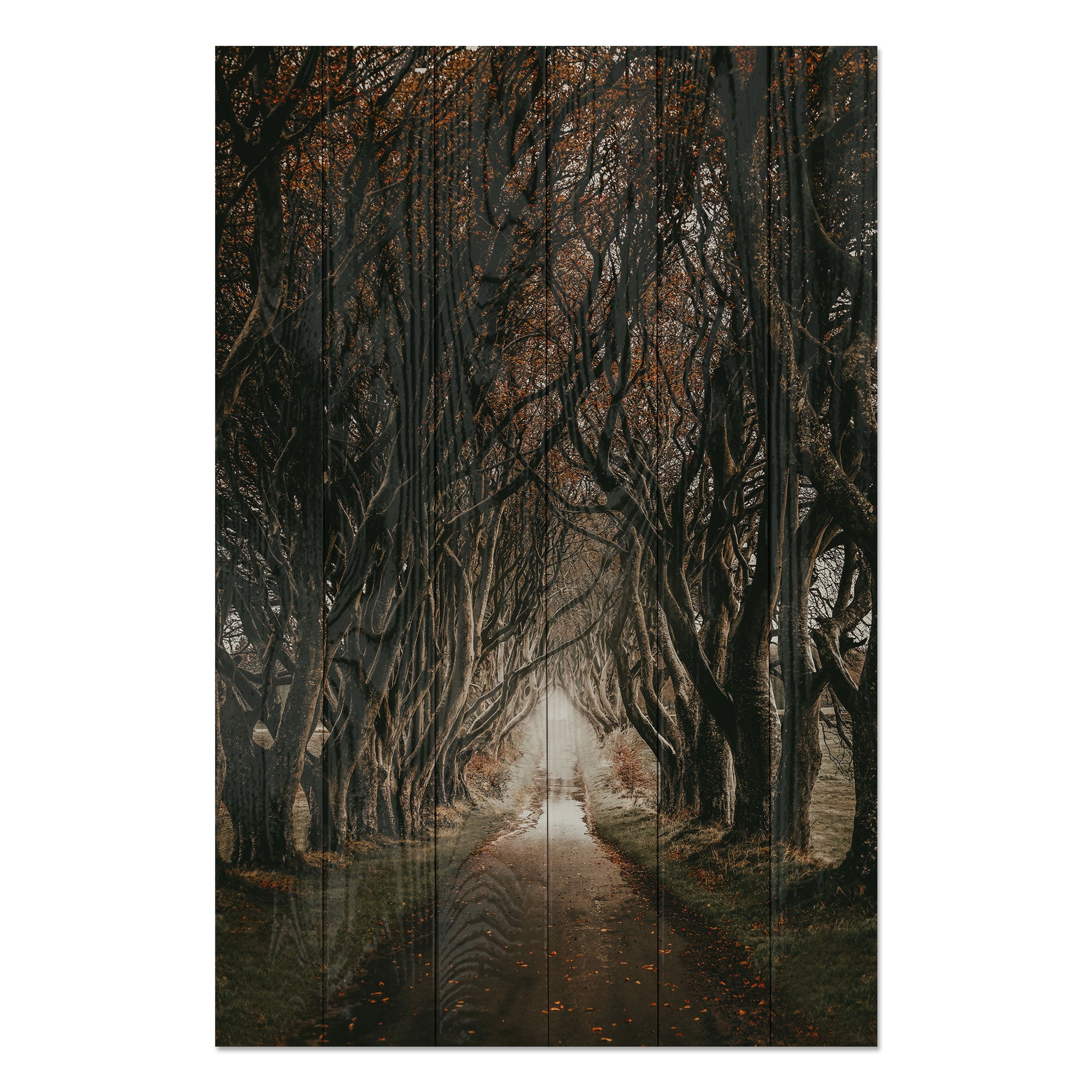 Obraz Wood Cesta mezi stromy-30x40 cm