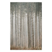 Obraz Wood Mysterious Forest-70x90 cm