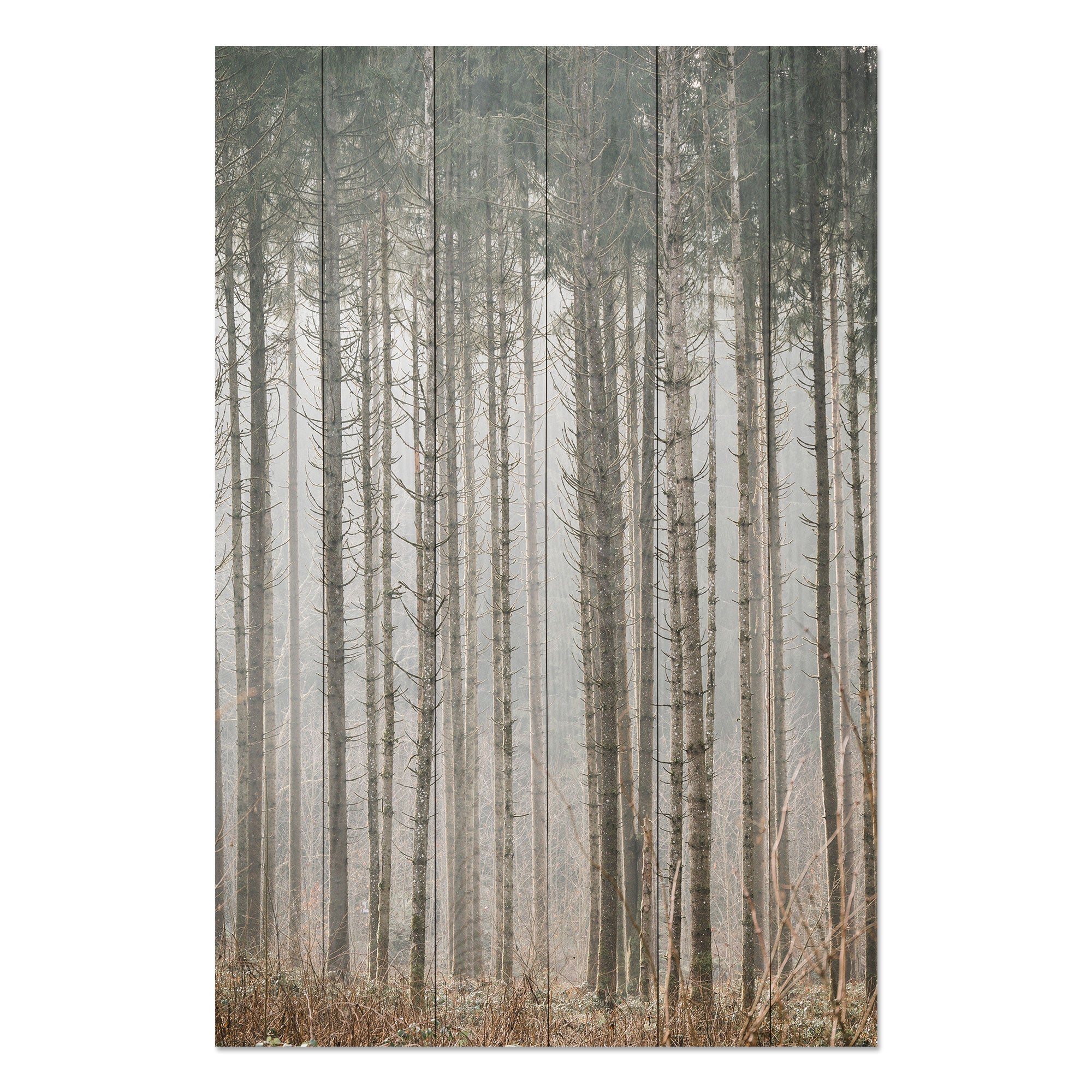 Obraz Wood Mysterious Forest-70x90 cm