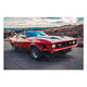 Obraz Wood Red Mustang-40x60 cm