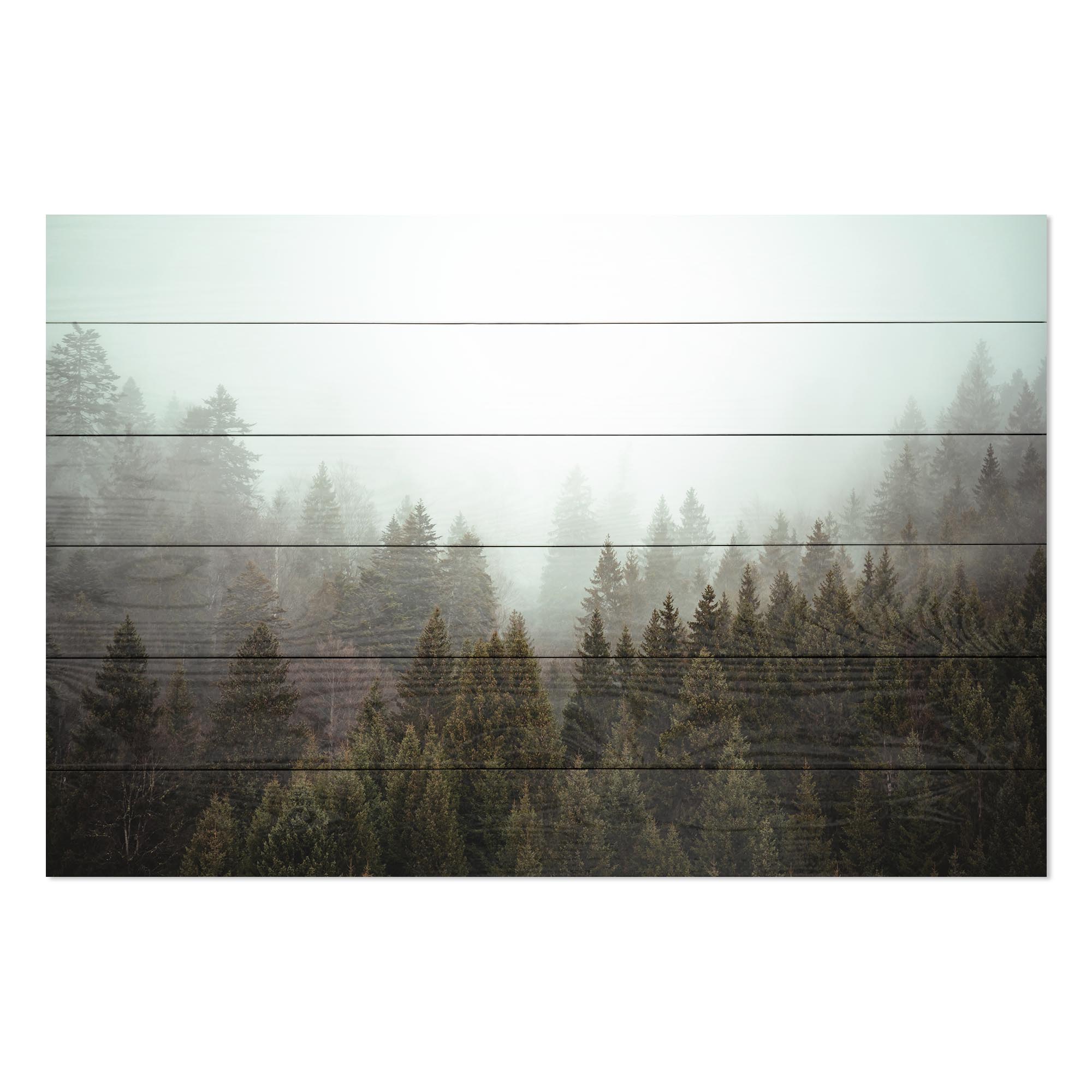 Bild Wood Nebliger Nadelwald-20x30 cm