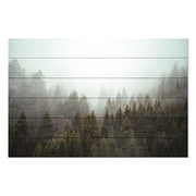 Obraz Wood Misty Coniferous Forest-40x60 cm