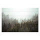 Bild Wood Nebliger Nadelwald-70x90 cm