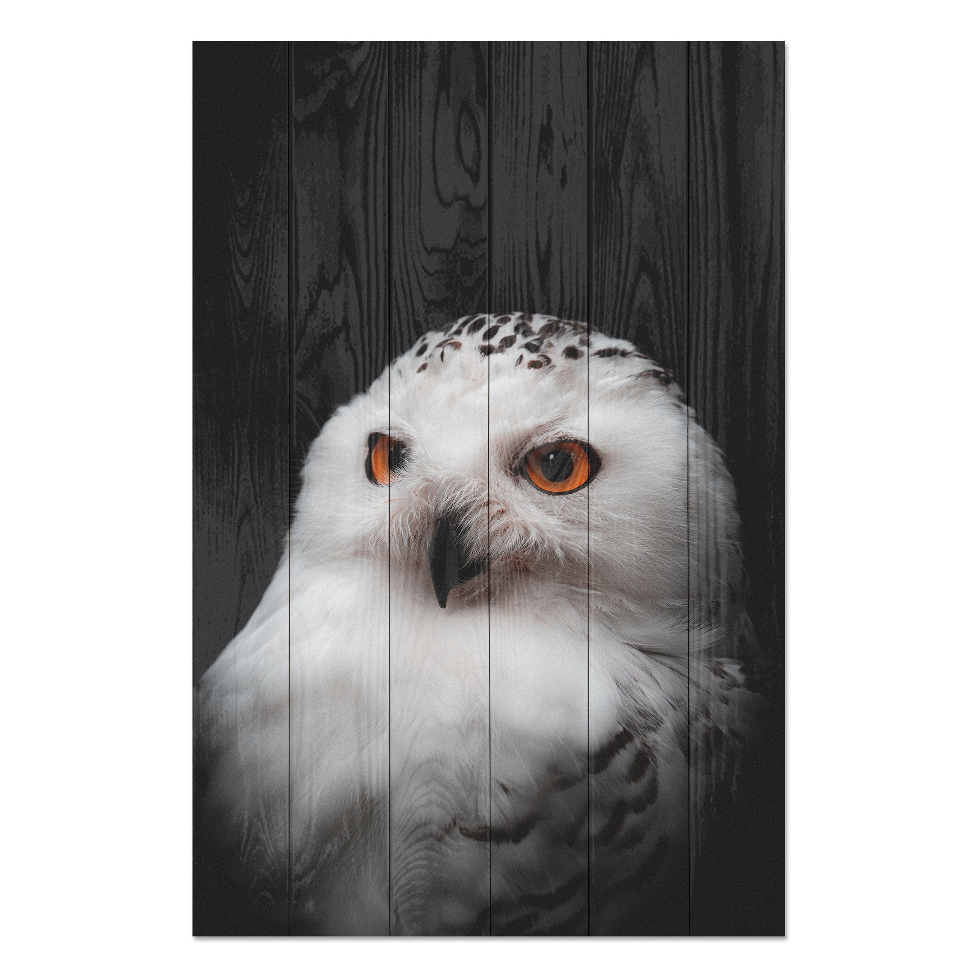 Wood Picture Owl Portrait-70x90 cm