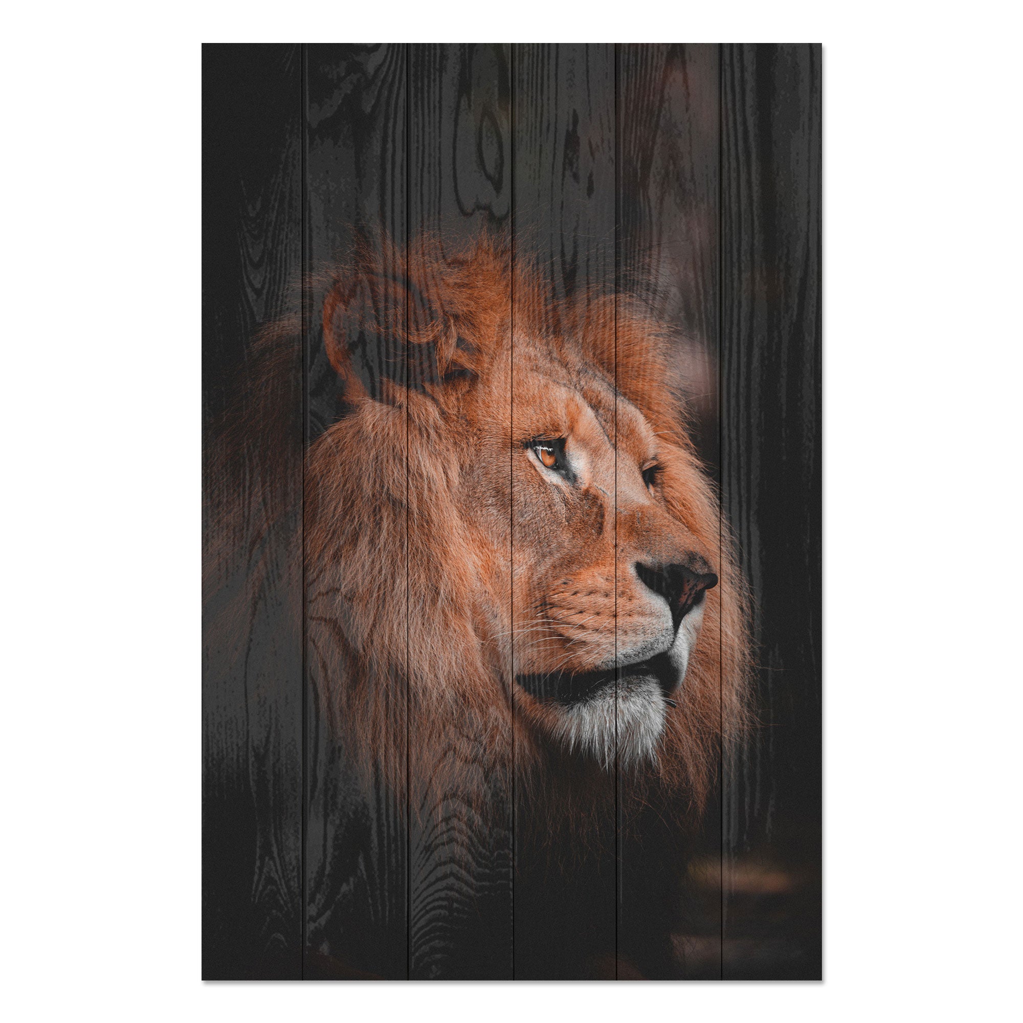 Obraz Wood Lion Profile