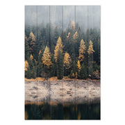 Obraz Wood Mlžný les-40x60 cm