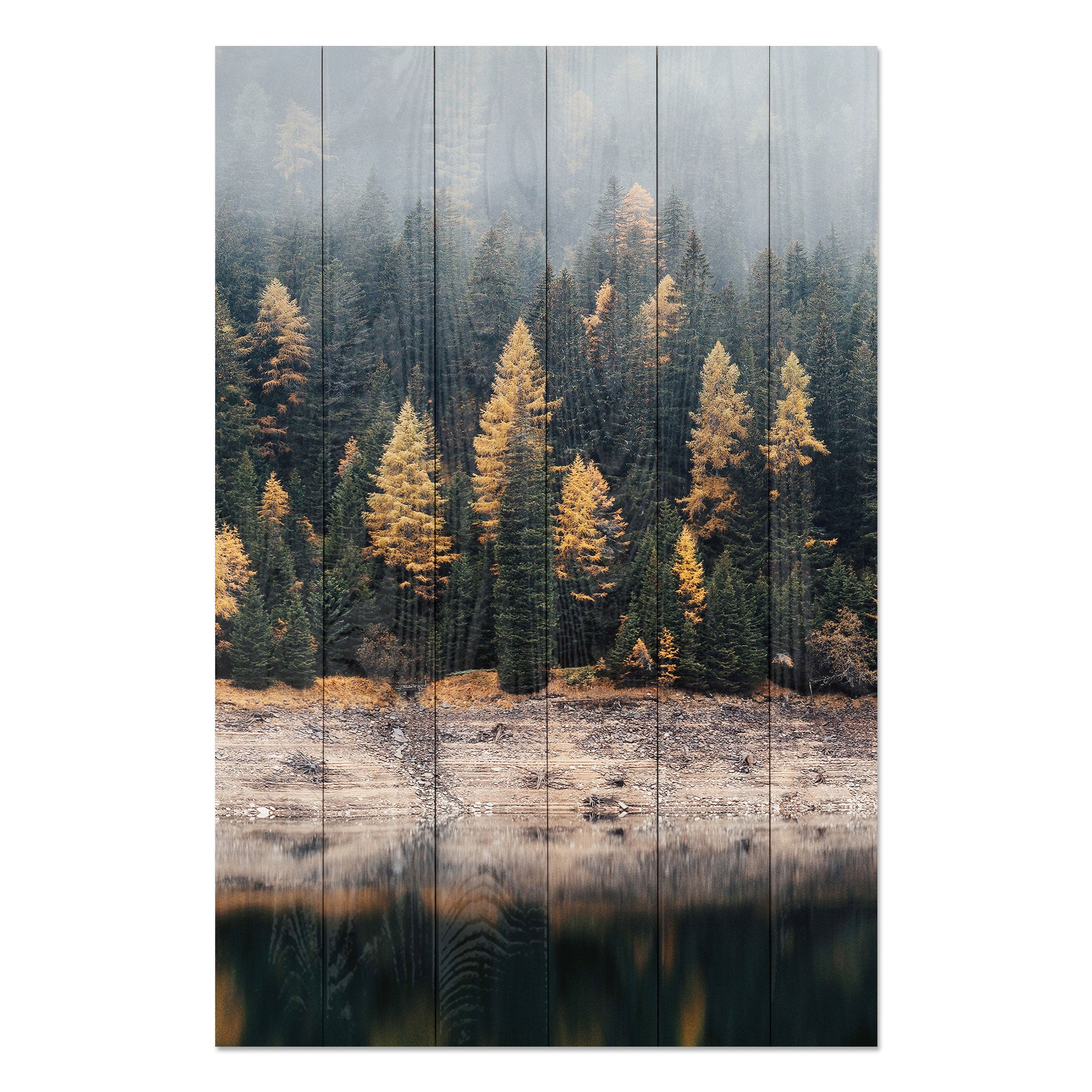 Bild Wood Nebelwald
