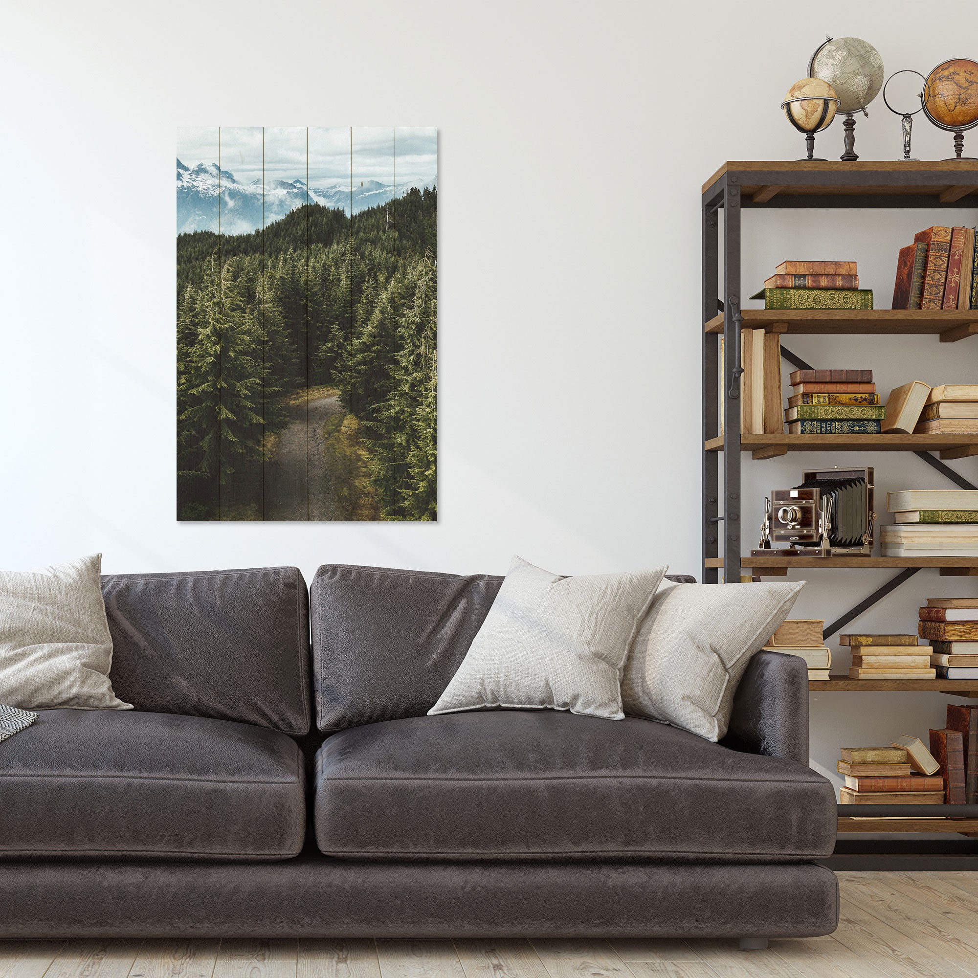 Bild Wood Waldweg