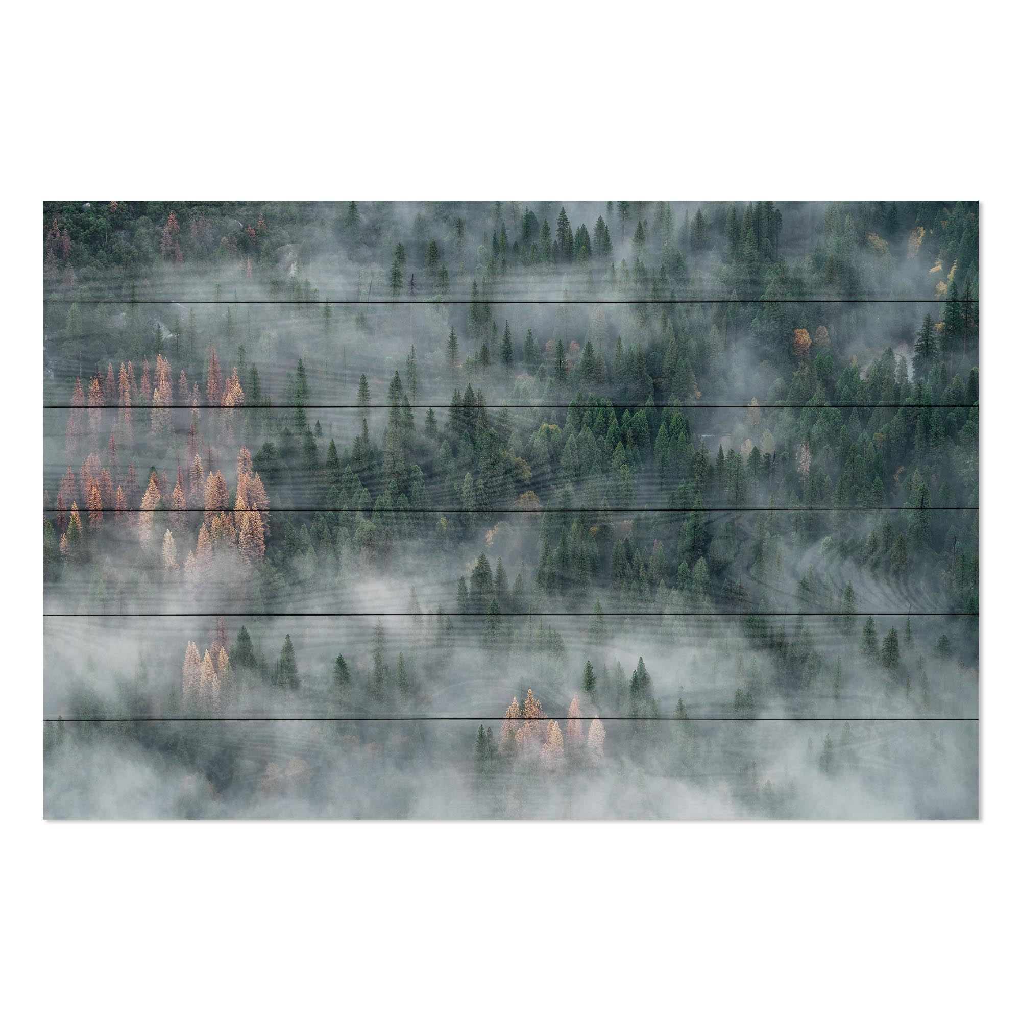 Wood Forest After Rain Painting-20x30 cm