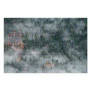 Obraz Wood Forest After Rain-50x70 cm