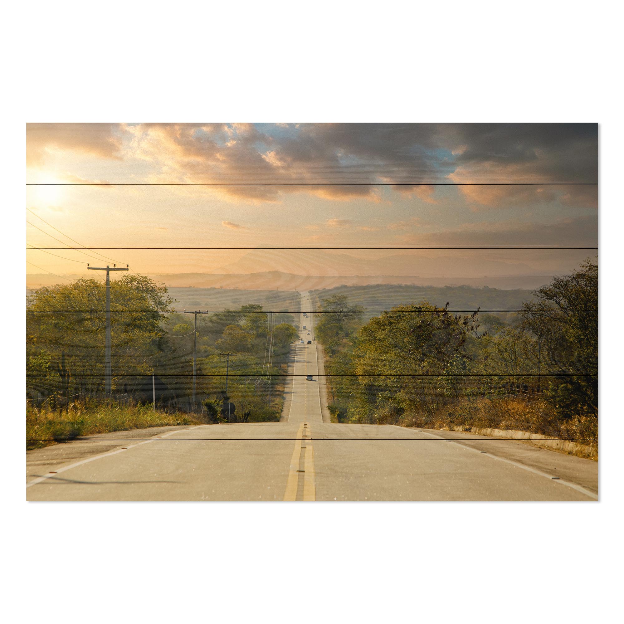 Obraz Wood Long Highway Lined With Trees-60x90 cm