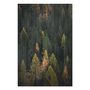 Wood Picture Coniferous Forest-20x30 cm