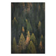 Bild Holz Nadelwald