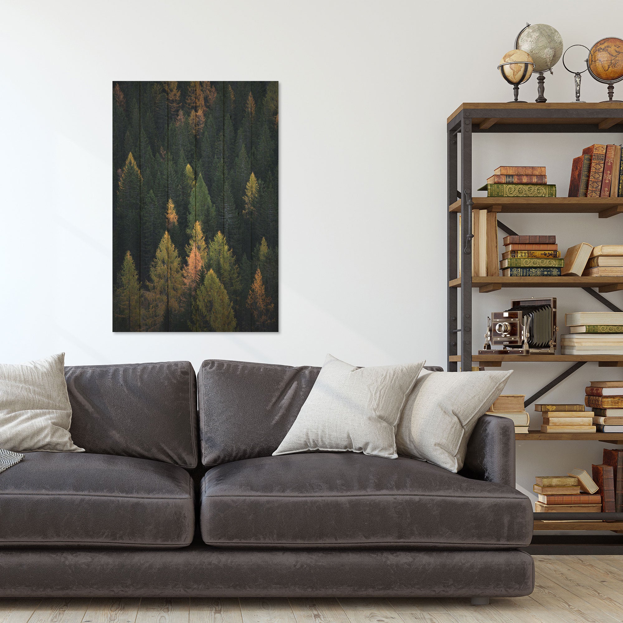 Obraz Wood Coniferous Forest-60x90 cm