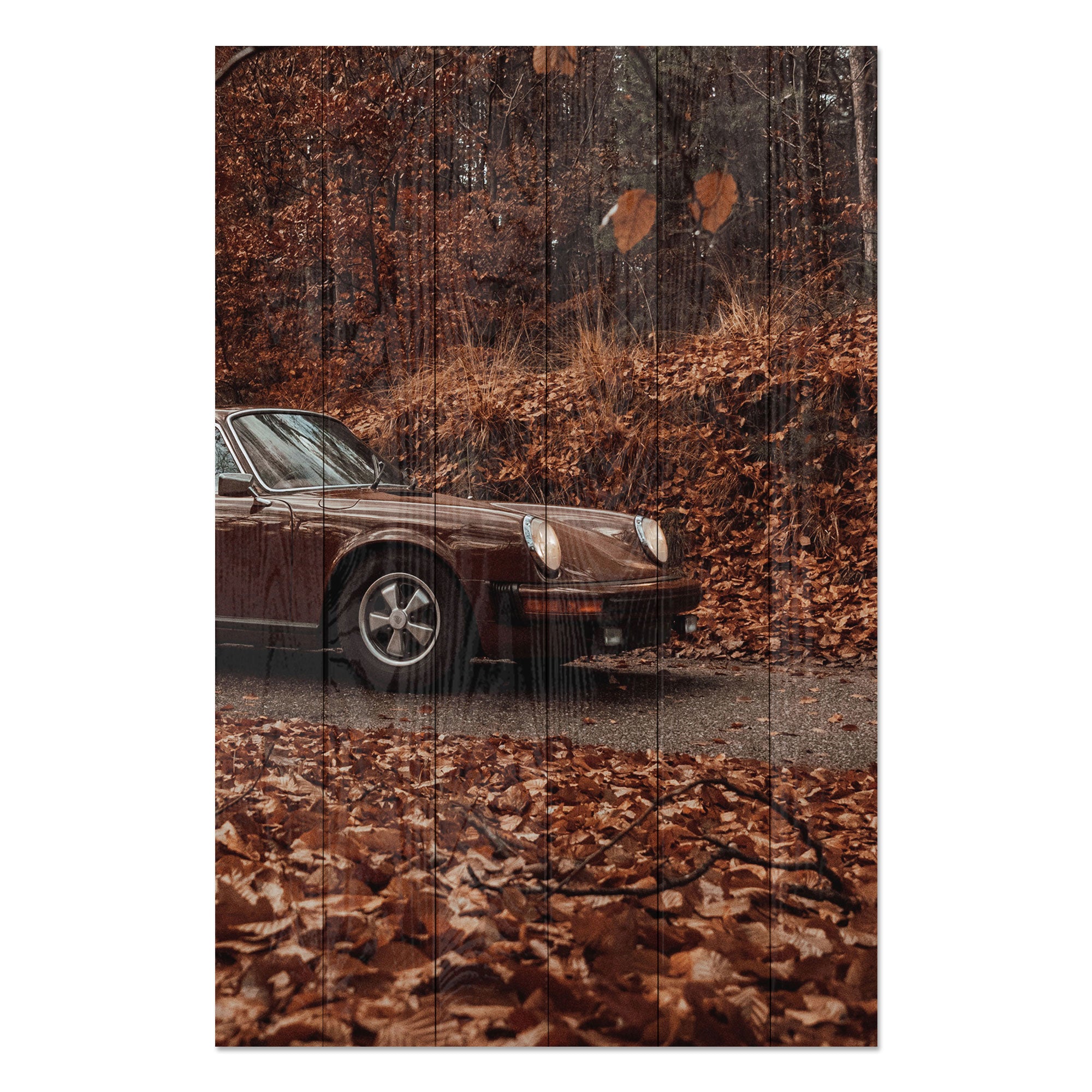 Obraz Dřevo Pole Hnědé-50x70 cm