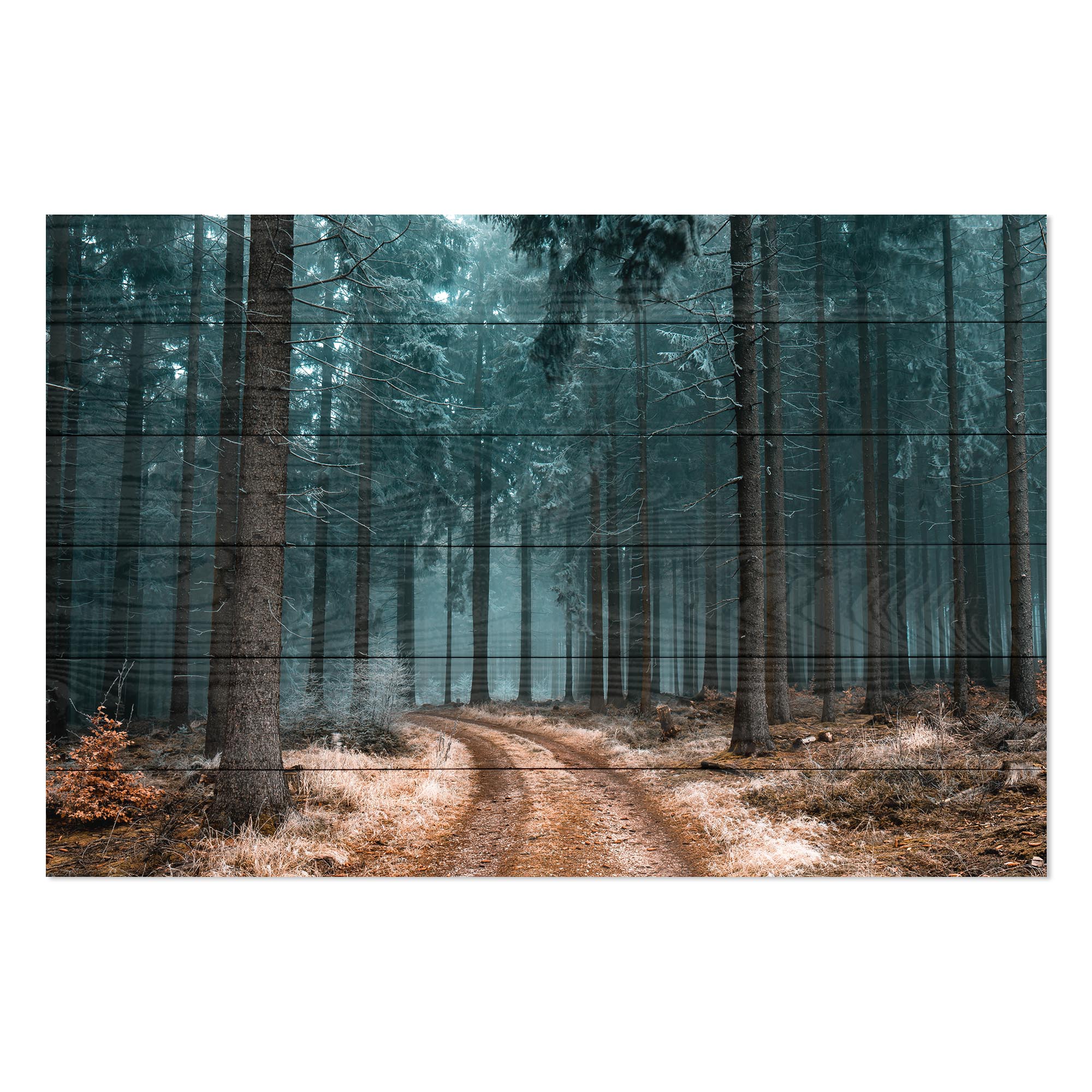 Wood Picture Path in the Forest-20x30 cm