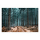 Bild Wood Pfad im Wald-20x30 cm