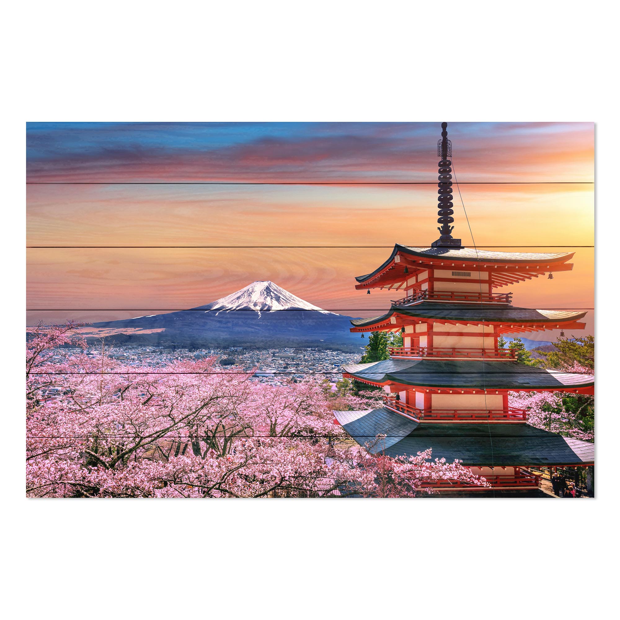 Bild Wood Kirschblüten und Fuji-Berg-50x70 cm