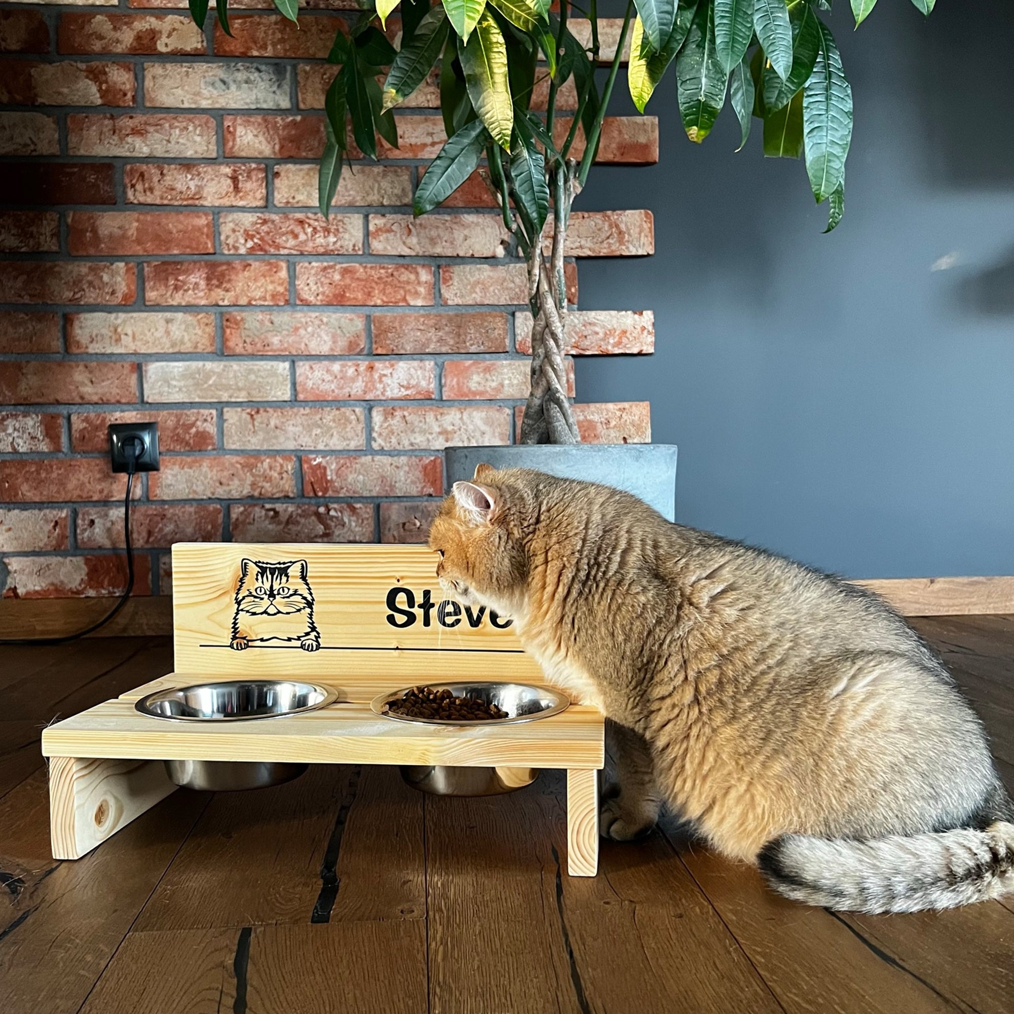 Stojak na miskę dla kota Stay Pawsitive-M