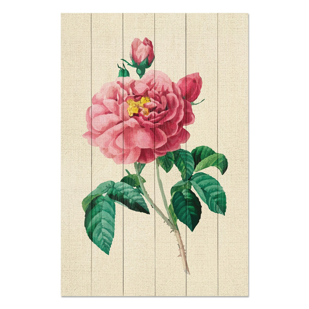 Bild Holz Vintage Rosa Blumen
